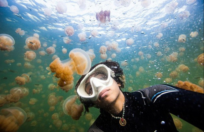 Denizanası Selfie