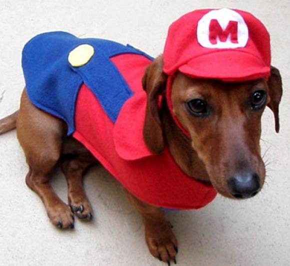 Süper Mario Bros köpek